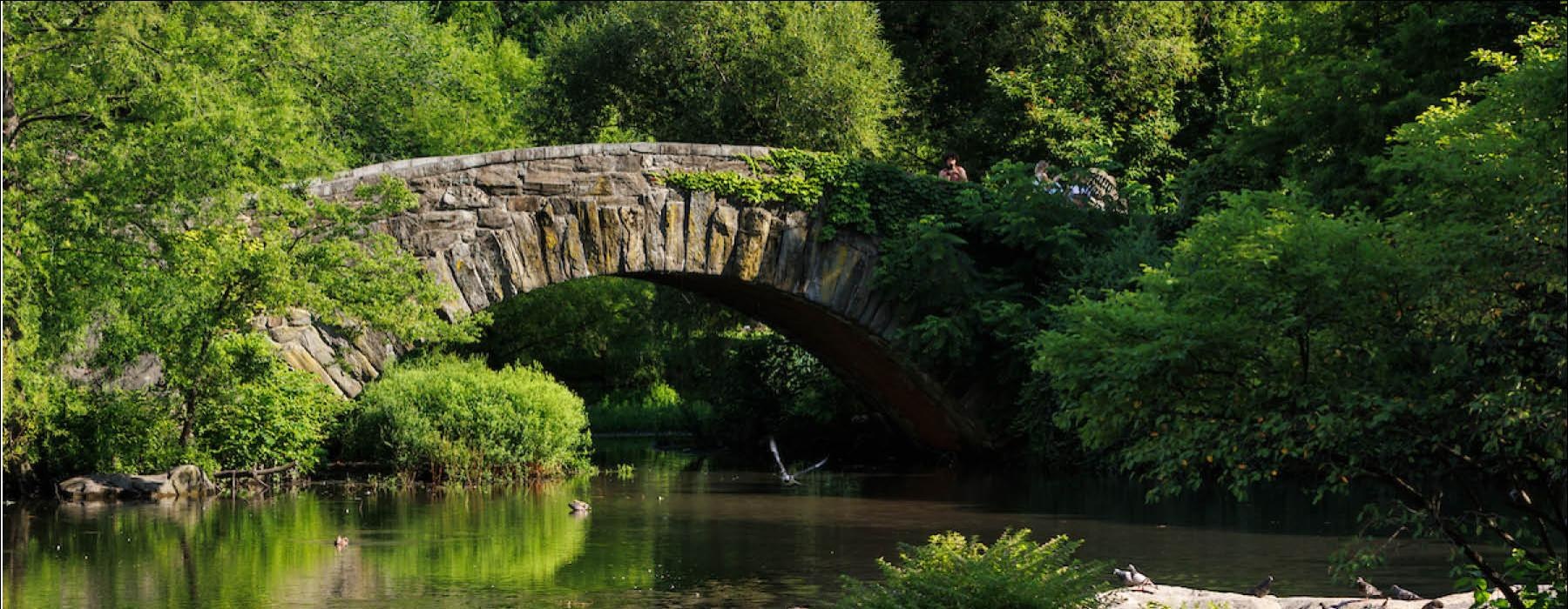 a bridge over a river