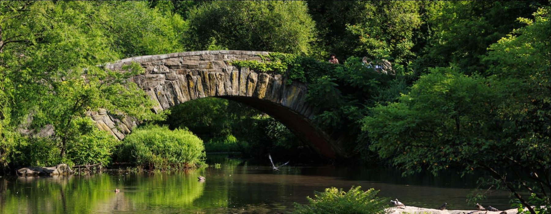 a bridge over a river