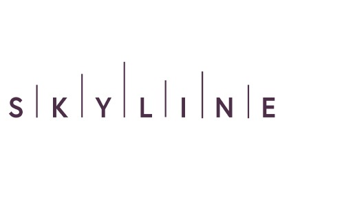 SKYLINE DEVELOPERS Cover Image